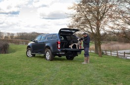 Isuzu D-Max with dog, 2025